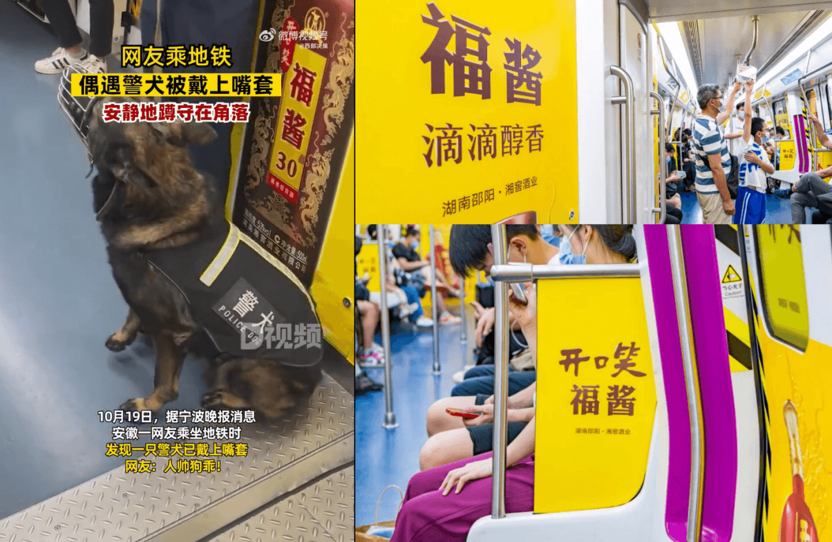 長(zhǎng)沙地鐵廣告價(jià)格多少錢(qián)？長(zhǎng)沙地鐵列車(chē)內(nèi)包車(chē)廣告全線覆蓋酒案例