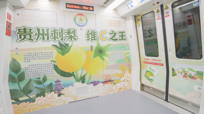 貴陽地鐵廣告特產(chǎn)案例圖，貴陽地鐵廣告內(nèi)包車廣告價格多少錢？
