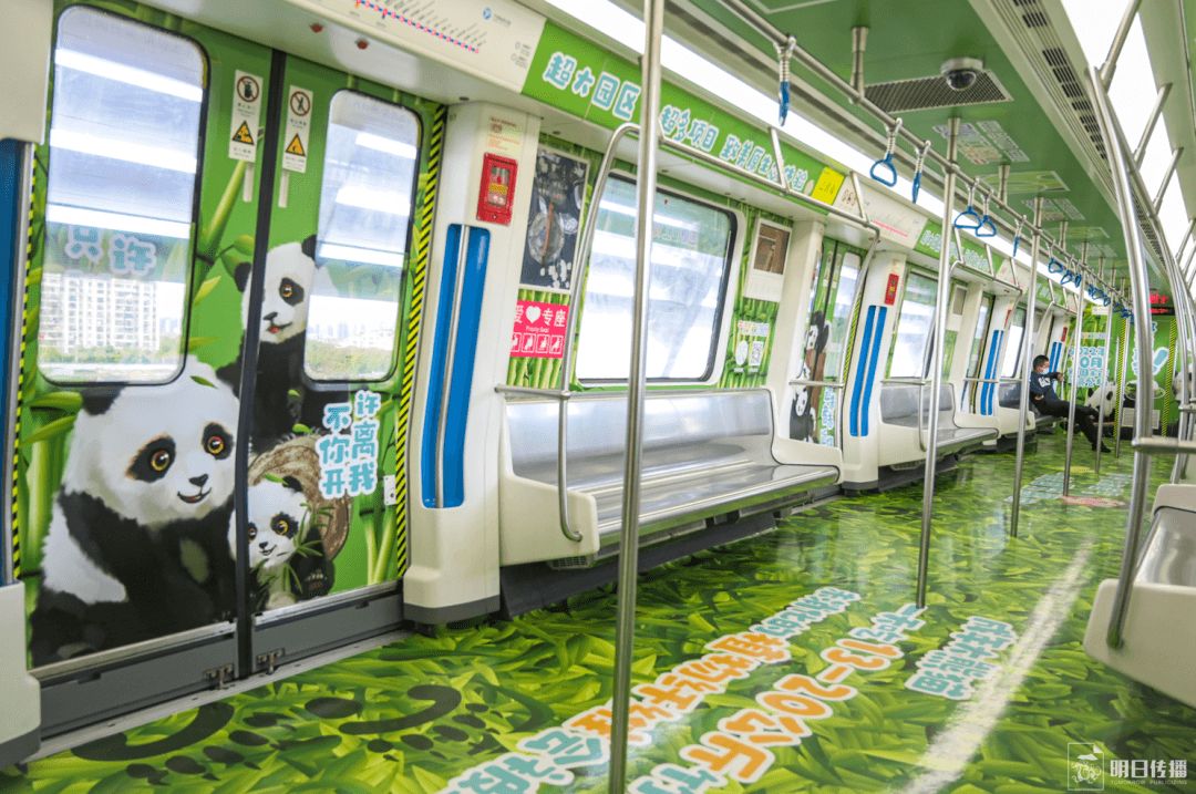 寧波地鐵車廂廣告價(jià)格多少錢？寧波地鐵廣告經(jīng)典全包車案例動(dòng)物園